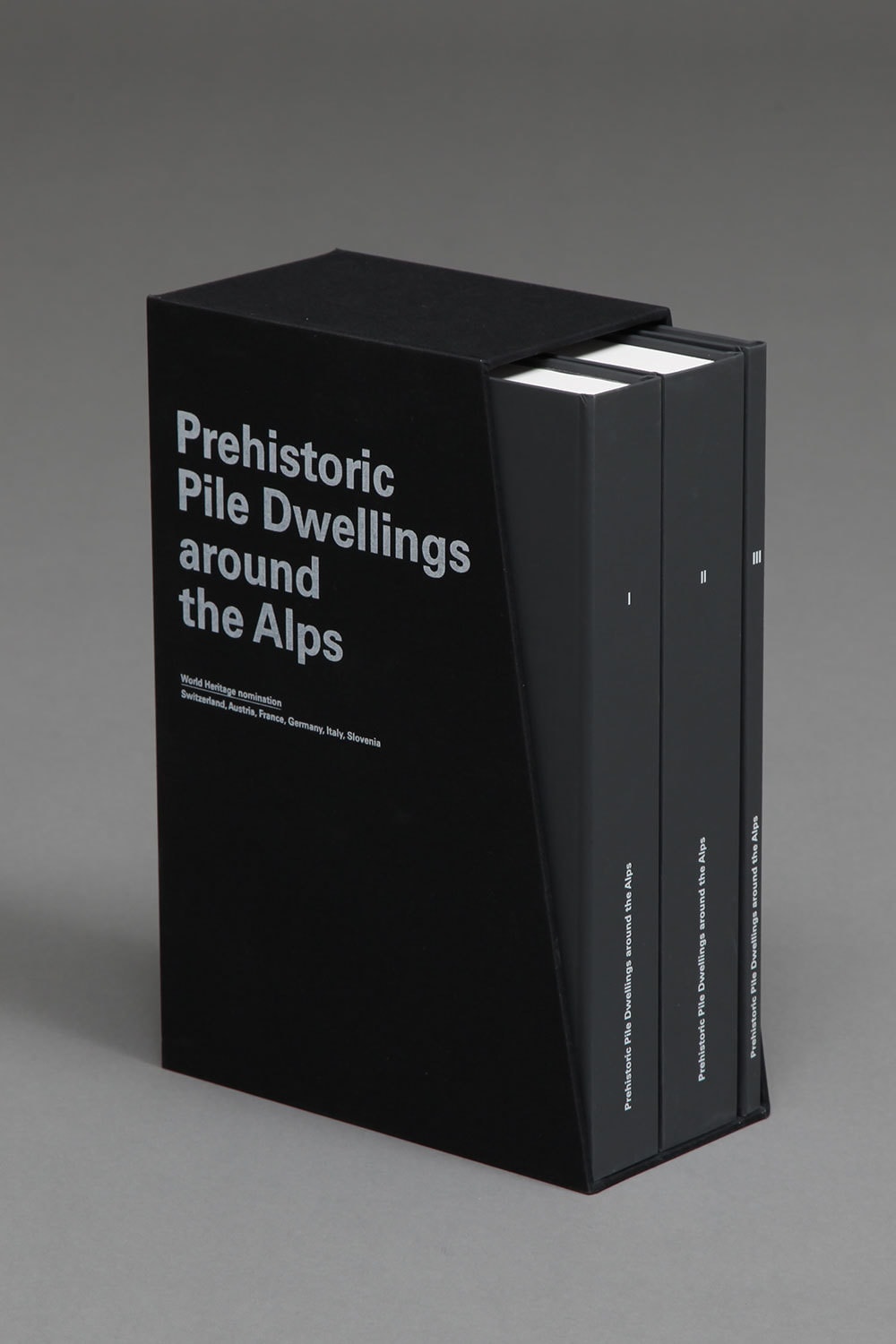 00 PALAFITTES FRONT 2